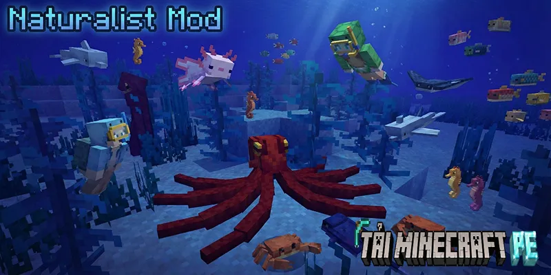 Khám Phá Naturalist Mod Minecraft PE Mới Nhất