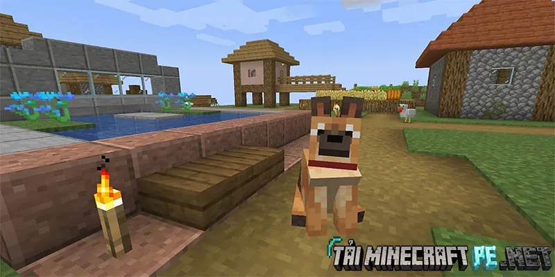 The Doggos: Mang 30 Giống Chó Siêu Chân Thực Vào Minecraft PE